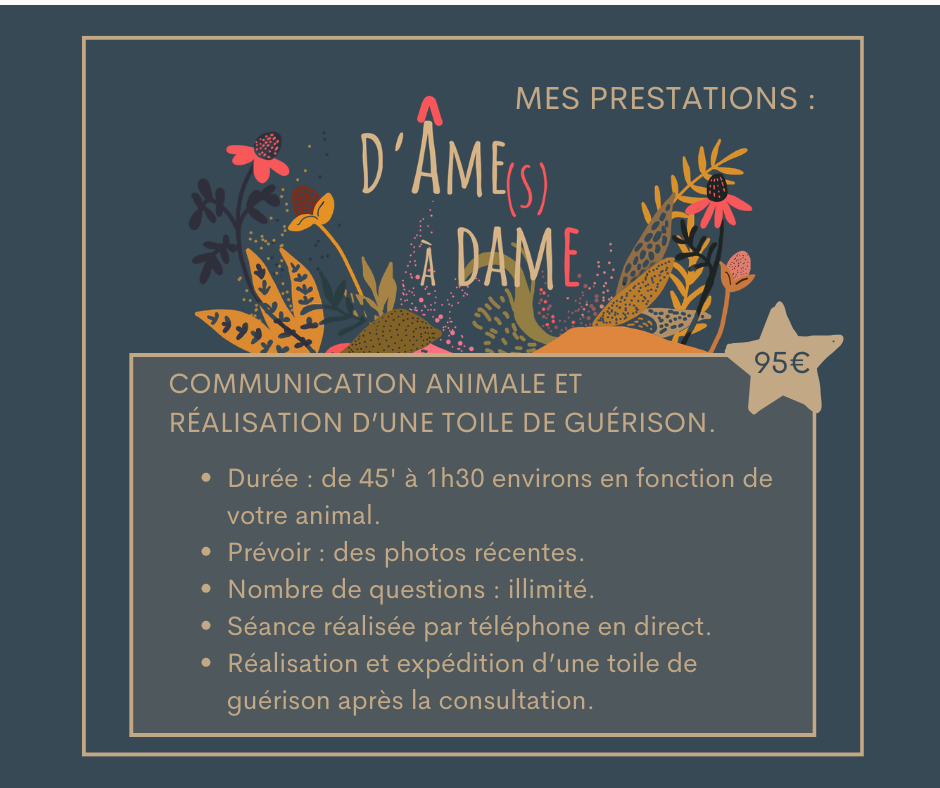 champagne pastel cream aesthetic and minimalist price lists facebook post