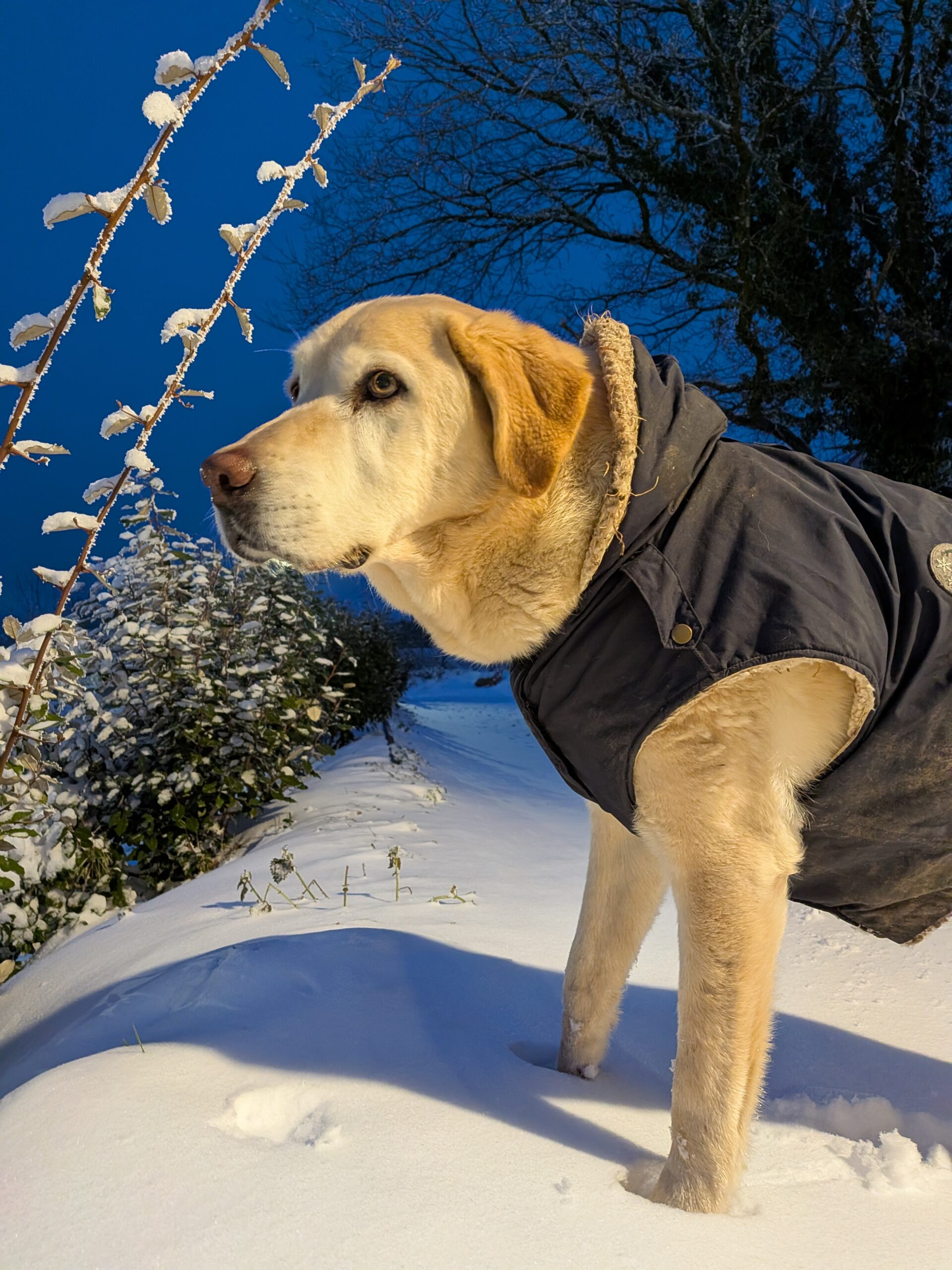 pxl 20260107 163636308.mp